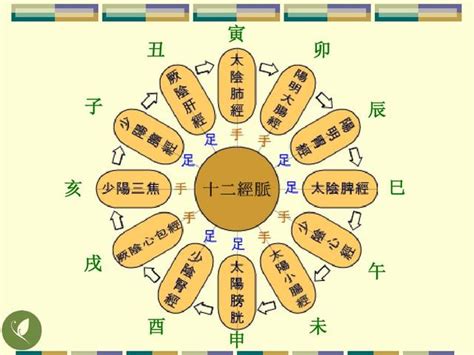 五行經絡|經絡學說